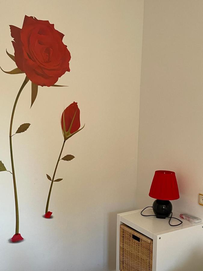 Apartamento Beatriz Cuenca  Zewnętrze zdjęcie